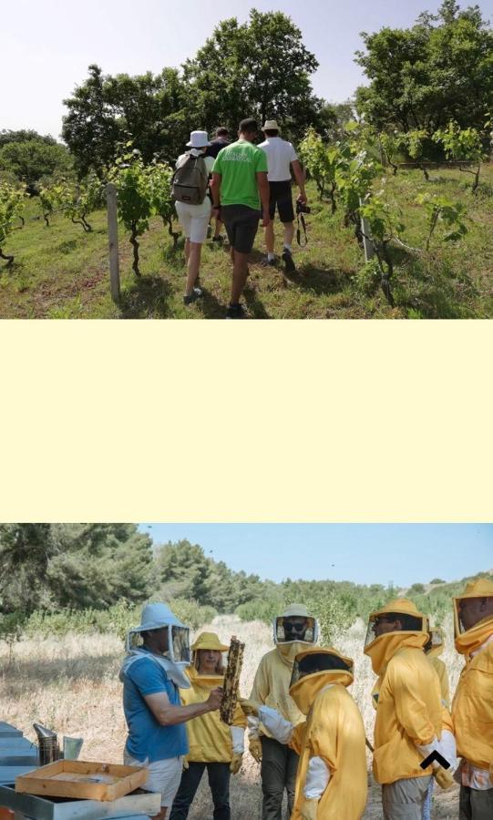 Grottole Casa Vacanza Kruptai 2019 빌라 외부 사진